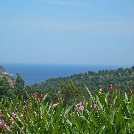 Valao Verde Roquebrune-sur-Argens